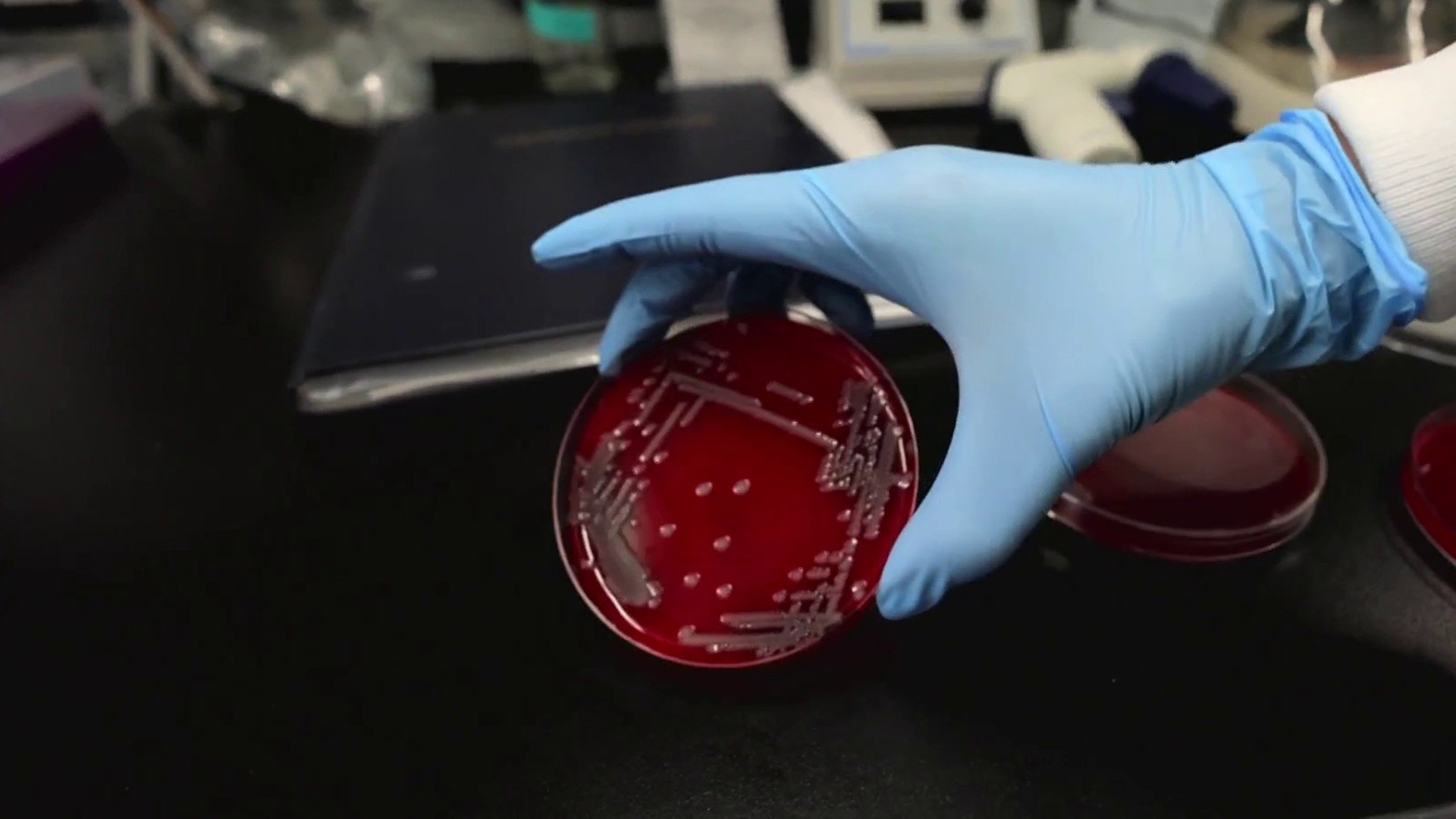 How biotechnology could change the face of cosmetics – TODAY